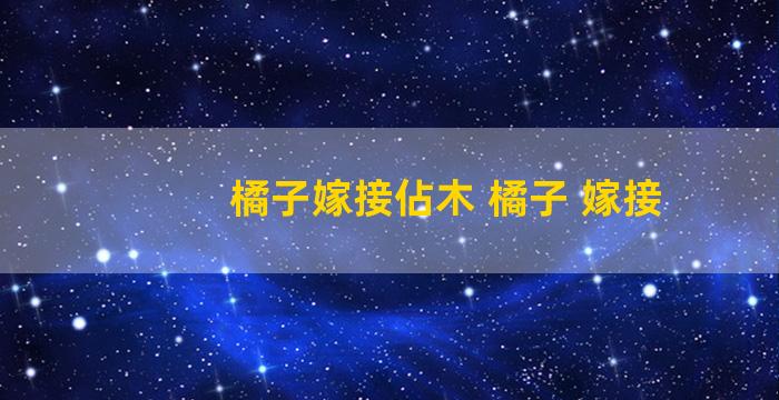 橘子嫁接佔木 橘子 嫁接